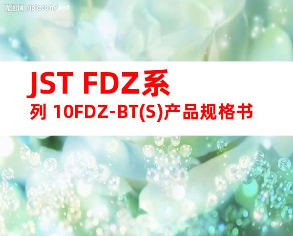 JST FDZ系列 10FDZ-BT(S)产品规格书